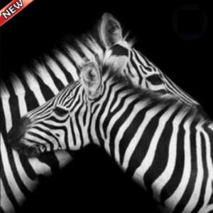 ZEBRA HUGS