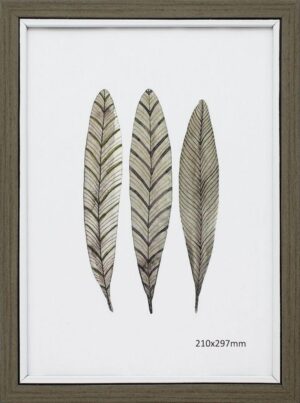 SOLARO PHOTO FRAMES