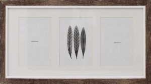 SOLARO STREAK PHOTO FRAMES - 3 x Mount Openning