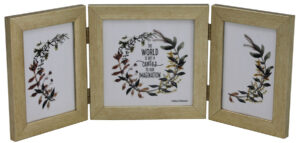 Tesha 3 Hinged Frame