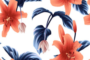 Orange Lilly Flowers