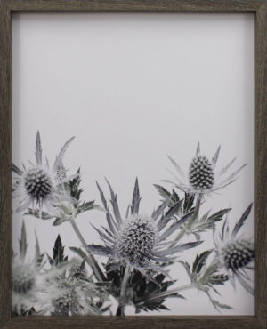 Blk n Wht Floral 1