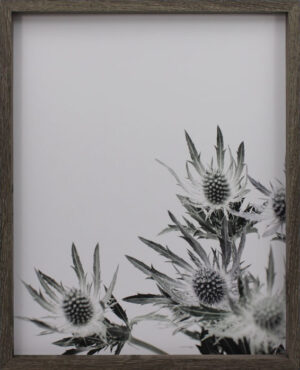 Blk n Wht Floral 2