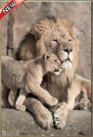 LION SHARE