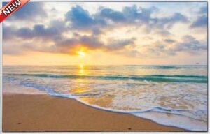 OCEAN REFLECTIONS