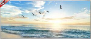 ENDLESS HORIZON