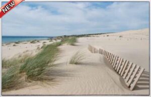 SANDY PATH