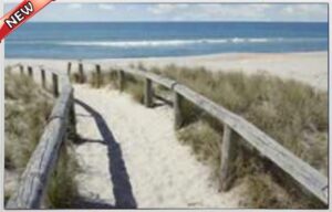 SEA SHORE