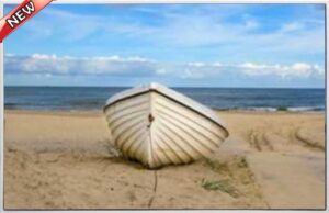 SOLITUDE SHORE