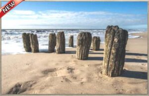 RUSTIC SHORE