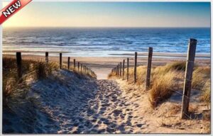 SHORELINE