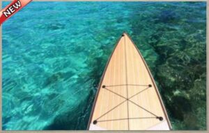 CLEAR WATERS