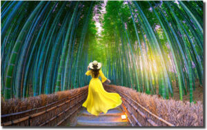 Yellow Dress Bamboo