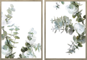 Set of 2 Eucalyptus Leaves