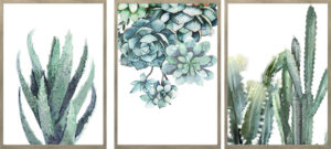 Set of 3 Cactus