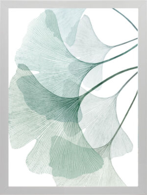 X Ray Leaf 2
