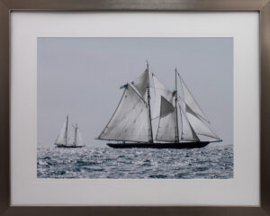 CAPE ANNE SAILS