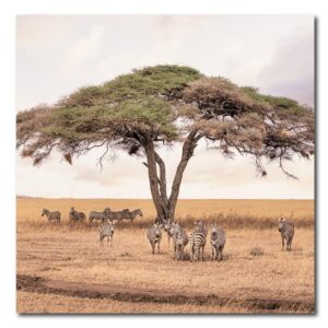 GRAZING FIELDS
