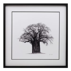 BAOBAB TREE 1