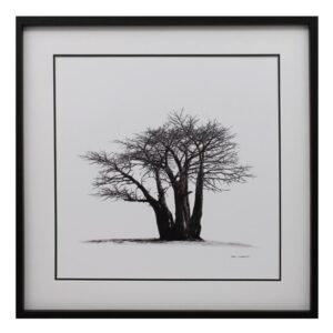 BAOBAB TREE 4
