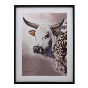 NGUNI HEAD 5