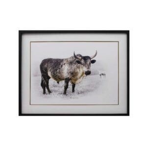 NGUNI POSE 5